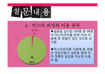 [마케팅조사] 미스터피자의 마케팅 조사-19
