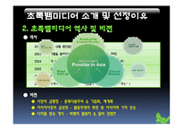 [기업재무] 초록뱀 미디어의 기업재무 사례 분석-5
