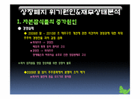 [기업재무] 초록뱀 미디어의 기업재무 사례 분석-8