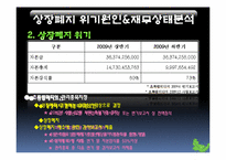 [기업재무] 초록뱀 미디어의 기업재무 사례 분석-10