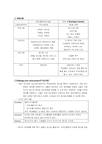 [소비자행동론] 한강 수변부 개발(문화,생활을 중심으로)-6