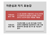 [조직행동론] 성격, 감성 및 기타 개인특성-18