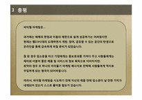 [경영과마케팅] 바이럴 마케팅 사례 분석-13