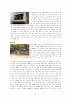 한국의 전통 정원에 관한 고찰-5
