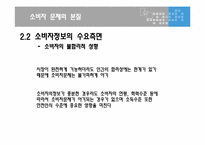 [정부규제분석] 소비자 안전 및 보건 규제-11