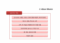 [식생활문화] 멕시코의 이해와 식생활에 관한 분석-6