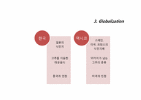 [식생활문화] 멕시코의 이해와 식생활에 관한 분석-17