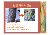 [간호실습] 중국해부학 실습과 북경문화 탐방-4