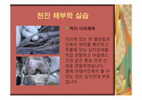 [간호실습] 중국해부학 실습과 북경문화 탐방-6