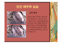 [간호실습] 중국해부학 실습과 북경문화 탐방-10