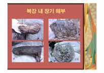 [간호실습] 중국해부학 실습과 북경문화 탐방-13