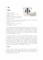 [국제경영]`의료용 현미경 TTL LOUPE`과 `고품질 안경` 전문 생산 수출업체 미남옵틱스의 글로벌 시장 진출 전략-3