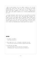 [국제경영]`의료용 현미경 TTL LOUPE`과 `고품질 안경` 전문 생산 수출업체 미남옵틱스의 글로벌 시장 진출 전략-13