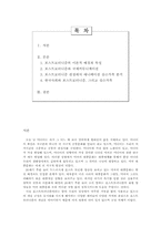 [국제커뮤니케이션]심슨가족과 포스트모더니즘-2