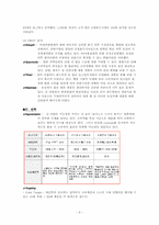 [마케팅] 농심 신라면 마케팅 분석(중국시장 진출 중심으로)-4