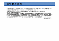 [경영학]미디어법 통과에 따른 삼성전자의 SWOT분석-13