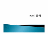 [인적자원관리]농심과 삼양의 인사관리-1