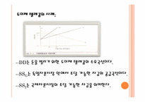 [국제경영]국제 자본 시장-8