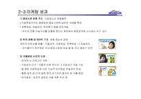 [마케팅]웅진식품의 마케팅 전략 분석-13