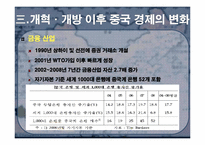 [동북아경제] 중국경제의 개관, 문제점과 향후 전망-13