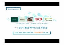 [경영학] 브랜드 런칭 마케팅 전략과 사례 조사-4