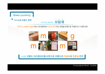 [경영학] 브랜드 런칭 마케팅 전략과 사례 조사-8
