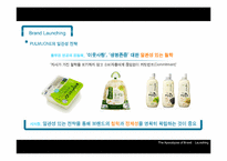 [경영학] 브랜드 런칭 마케팅 전략과 사례 조사-13