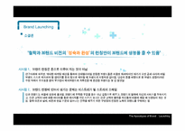 [경영학] 브랜드 런칭 마케팅 전략과 사례 조사-14