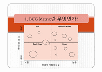 [마케팅]오뚜기 BCG Matrix-4