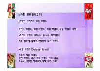 [마케팅]브랜드의 관리전략-브랜드 포트폴리오-3