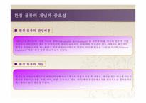 [국제운송론] 환경 물류의 중요성과 향후 대책-4