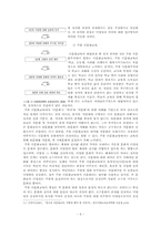 [다문화 사회] 21세기 국제환경과 국제 관계 다문화 주의-6