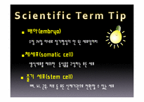 [현대사회와 기독교 윤리] 인간복제에 윤리적, 종교적 관점-5