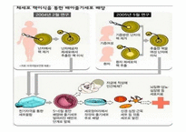 [현대사회와 기독교 윤리] 인간복제에 윤리적, 종교적 관점-6