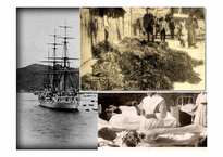 [한국정치외교사]조선의 쇄국-개항사-16