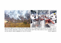 [소비와 윤리]구매운동에 대하여-4
