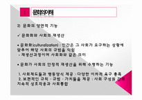 [사회학개론] 인간과 문화-9