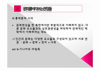[사회학개론] 인간과 문화-18