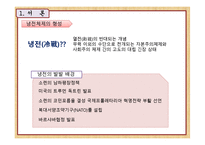[아랍지역연구]냉전체제와 아랍지역정치(보수, 혁신관계에 조명하여)-4