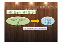 [정치학]전자민주주의 개념및 한계와 전망-13