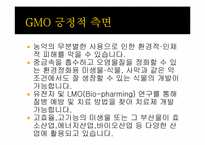 [유전공학]유전자 변형 식물(GMO)-10
