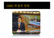 [유전공학]유전자 변형 식물(GMO)-13