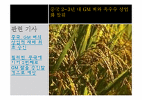 [유전공학]유전자 변형 식물(GMO)-16