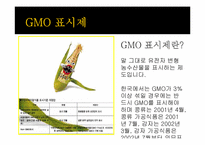 [유전공학]유전자 변형 식물(GMO)-18