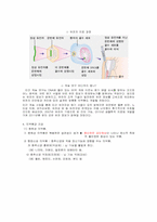 [생약학]천연의약품과 화학의약품-5
