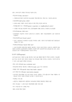 [영유아교육]호주의 유아교육에 대하여-3