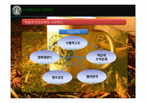 스타벅스 마케팅사례및 인사관리분석-9