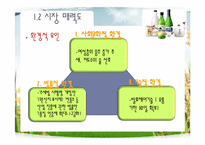국순당 막걸리 마케팅stp,4p분석및 전략방안-13