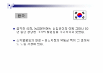 성장과분배 문제와 소득불균형해소방안 해외사례분석 파워포인트-14
