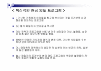 성장과분배 문제와 소득불균형해소방안 해외사례분석 파워포인트-18